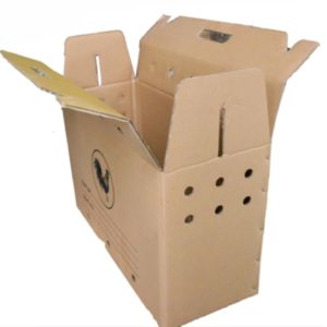 Thùng Carton Như Phương thung-giay-dung-ga-300x300 Địa chỉ bán thùng carton ở quận 5, quận 10, quận Bình Thạnh và Tân Bình Thùng  